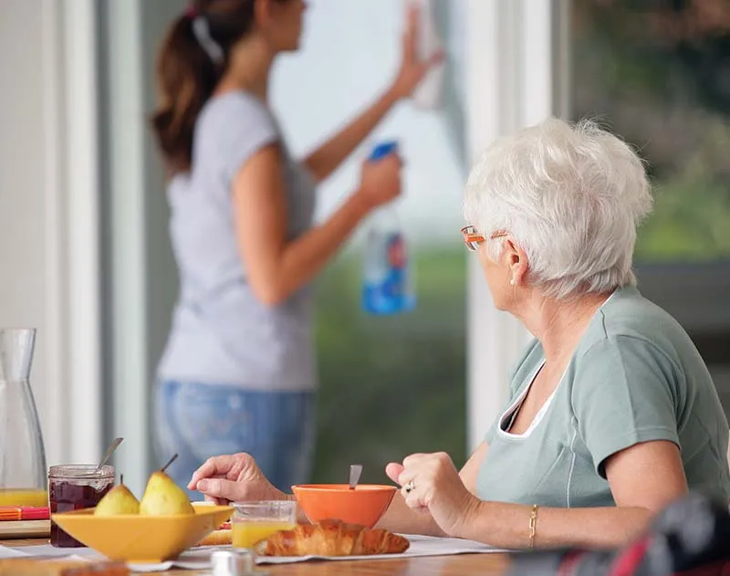 Domestic Assistance feature